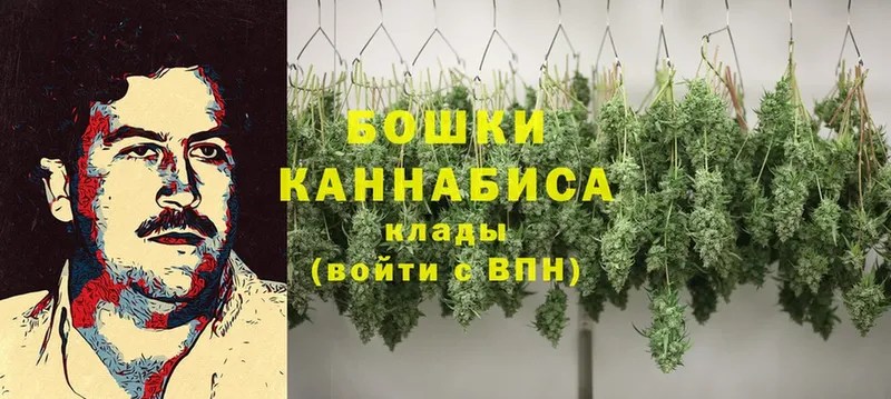 цена   Рубцовск  Конопля White Widow 